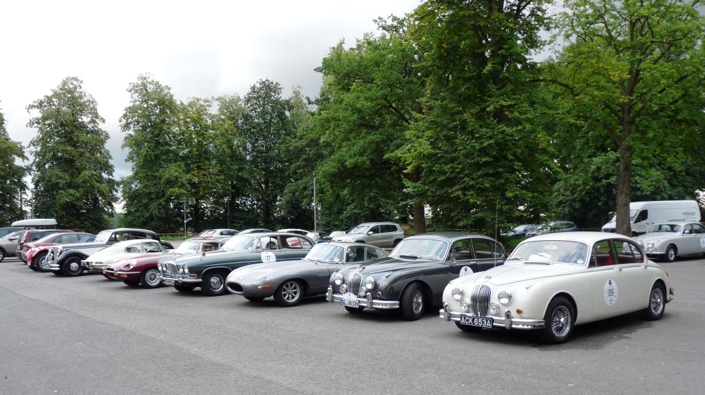 Jaguars at Coombe Abbey