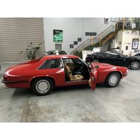 Jaguar XJS 027